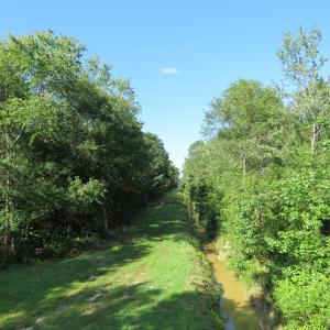 Photo of UNDER CONTRACT!  28 Acres of Hunting Land For Sale in Pender County NC!