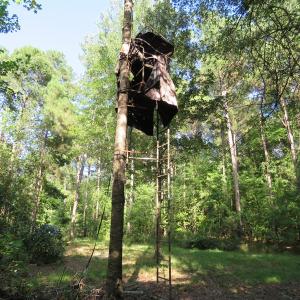 Photo of UNDER CONTRACT!  28 Acres of Hunting Land For Sale in Pender County NC!