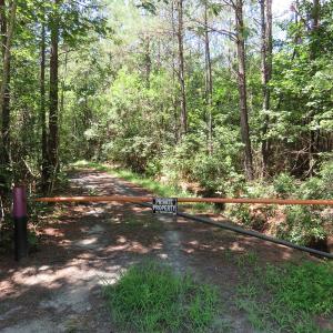 Photo of UNDER CONTRACT!  28 Acres of Hunting Land For Sale in Pender County NC!
