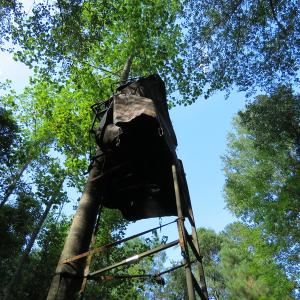 Photo of UNDER CONTRACT!  28 Acres of Hunting Land For Sale in Pender County NC!