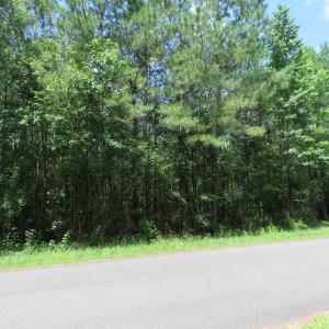 Photo of UNDER CONTRACT!  28 Acres of Hunting Land For Sale in Pender County NC!