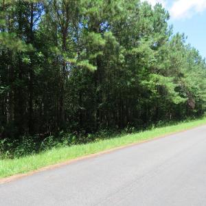 Photo of UNDER CONTRACT!  28 Acres of Hunting Land For Sale in Pender County NC!