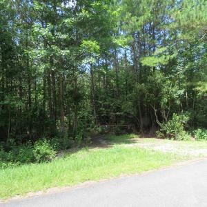 Photo of UNDER CONTRACT!  28 Acres of Hunting Land For Sale in Pender County NC!
