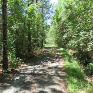 Photo of UNDER CONTRACT!  28 Acres of Hunting Land For Sale in Pender County NC!