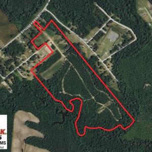 Photo of UNDER CONTRACT!  49 Acres of Hunting and Timber Land For Sale in Edgecombe County NC!