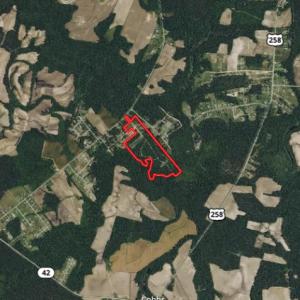 Photo of UNDER CONTRACT!  49 Acres of Hunting and Timber Land For Sale in Edgecombe County NC!