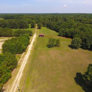 Photo of UNDER CONTRACT!  49 Acres of Hunting and Timber Land For Sale in Edgecombe County NC!