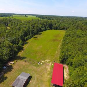 Photo of UNDER CONTRACT!  49 Acres of Hunting and Timber Land For Sale in Edgecombe County NC!