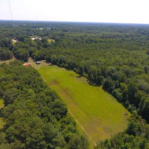 Photo of UNDER CONTRACT!  49 Acres of Hunting and Timber Land For Sale in Edgecombe County NC!