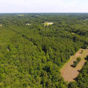 Photo of UNDER CONTRACT!  49 Acres of Hunting and Timber Land For Sale in Edgecombe County NC!