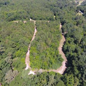 Photo of UNDER CONTRACT!  49 Acres of Hunting and Timber Land For Sale in Edgecombe County NC!