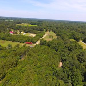 Photo of UNDER CONTRACT!  49 Acres of Hunting and Timber Land For Sale in Edgecombe County NC!
