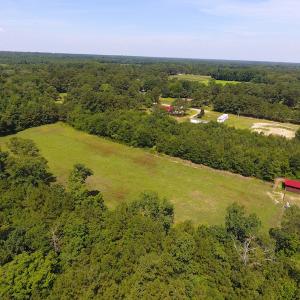 Photo of UNDER CONTRACT!  49 Acres of Hunting and Timber Land For Sale in Edgecombe County NC!