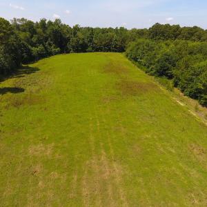 Photo of UNDER CONTRACT!  49 Acres of Hunting and Timber Land For Sale in Edgecombe County NC!