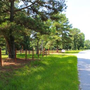 Photo of UNDER CONTRACT!  49 Acres of Hunting and Timber Land For Sale in Edgecombe County NC!