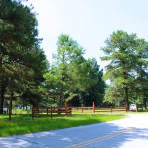 Photo of UNDER CONTRACT!  49 Acres of Hunting and Timber Land For Sale in Edgecombe County NC!
