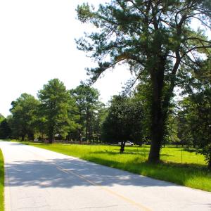 Photo of UNDER CONTRACT!  49 Acres of Hunting and Timber Land For Sale in Edgecombe County NC!