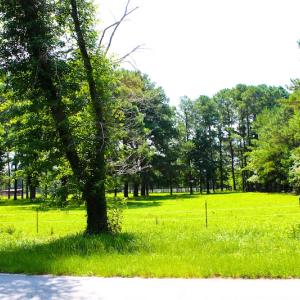 Photo of UNDER CONTRACT!  49 Acres of Hunting and Timber Land For Sale in Edgecombe County NC!