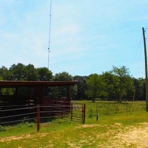 Photo of UNDER CONTRACT!  49 Acres of Hunting and Timber Land For Sale in Edgecombe County NC!