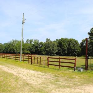 Photo of UNDER CONTRACT!  49 Acres of Hunting and Timber Land For Sale in Edgecombe County NC!