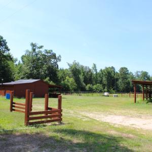 Photo of UNDER CONTRACT!  49 Acres of Hunting and Timber Land For Sale in Edgecombe County NC!