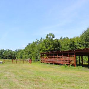 Photo of UNDER CONTRACT!  49 Acres of Hunting and Timber Land For Sale in Edgecombe County NC!