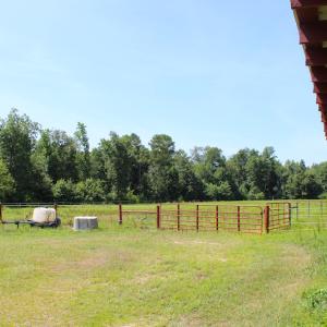 Photo of UNDER CONTRACT!  49 Acres of Hunting and Timber Land For Sale in Edgecombe County NC!
