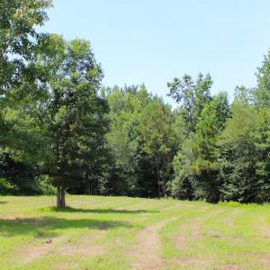 Photo of UNDER CONTRACT!  49 Acres of Hunting and Timber Land For Sale in Edgecombe County NC!