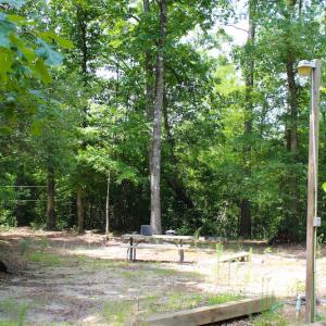 Photo of UNDER CONTRACT!  49 Acres of Hunting and Timber Land For Sale in Edgecombe County NC!