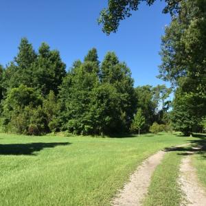 Photo of SOLD!  4 Acres of Waterfront Residential and Recreational Land For Sale in Camden County NC!