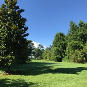 Photo of SOLD!  4 Acres of Waterfront Residential and Recreational Land For Sale in Camden County NC!