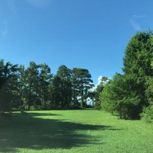 Photo of SOLD!  4 Acres of Waterfront Residential and Recreational Land For Sale in Camden County NC!