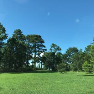 Photo of SOLD!  4 Acres of Waterfront Residential and Recreational Land For Sale in Camden County NC!