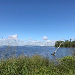 Photo of SOLD!  4 Acres of Waterfront Residential and Recreational Land For Sale in Camden County NC!