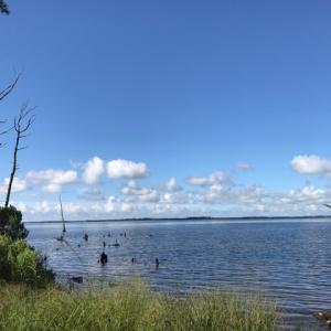 Photo of SOLD!  4 Acres of Waterfront Residential and Recreational Land For Sale in Camden County NC!