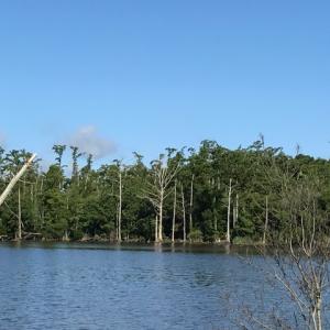 Photo of SOLD!  4 Acres of Waterfront Residential and Recreational Land For Sale in Camden County NC!