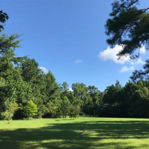 Photo of SOLD!  4 Acres of Waterfront Residential and Recreational Land For Sale in Camden County NC!