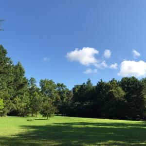 Photo of SOLD!  4 Acres of Waterfront Residential and Recreational Land For Sale in Camden County NC!