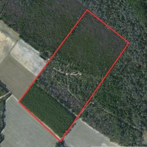 Photo of UNDER CONTRACT!  39.7 Acres of Hunting  and Timber Land For Sale in Columbus County NC!