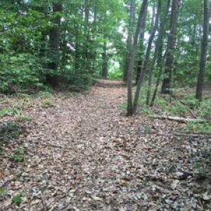 Photo of SOLD!  5 Acres of Residential Land For Sale in Prince George County VA!