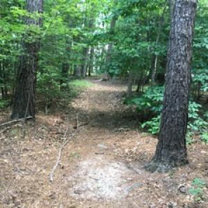 Photo of SOLD!  5 Acres of Residential Land For Sale in Prince George County VA!