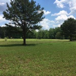 Photo of SOLD!  5 Acres of Residential Land For Sale in Prince George County VA!
