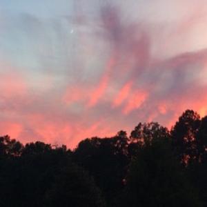 Photo of SOLD!  5 Acres of Residential Land For Sale in Prince George County VA!