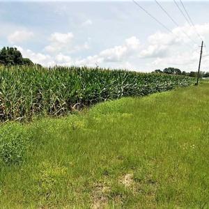Photo of 18.7 Acres of Farm and Timber Land For Sale In Pitt County NC!