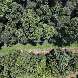 Photo of 18.7 Acres of Farm and Timber Land For Sale In Pitt County NC!
