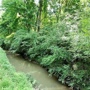 Photo of 18.7 Acres of Farm and Timber Land For Sale In Pitt County NC!