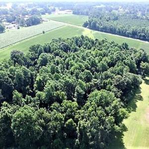 Photo of 18.7 Acres of Farm and Timber Land For Sale In Pitt County NC!