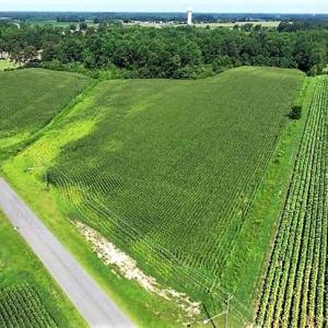 Photo of 18.7 Acres of Farm and Timber Land For Sale In Pitt County NC!