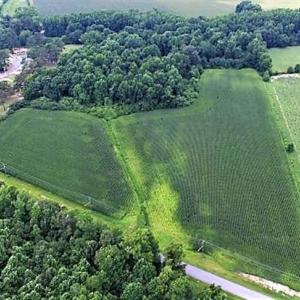Photo of 18.7 Acres of Farm and Timber Land For Sale In Pitt County NC!