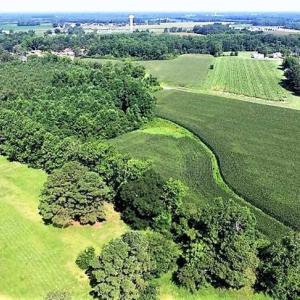 Photo of 17.1 Acres of Farm and Timber Land For Sale In Pitt County NC!